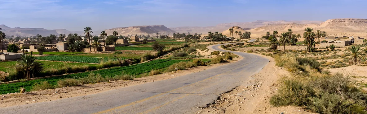 Escape the City Bustle: Road Trips from Cairo That Will Leave You Spellbound