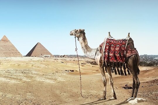 Tour image 2