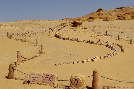 Tour image 6