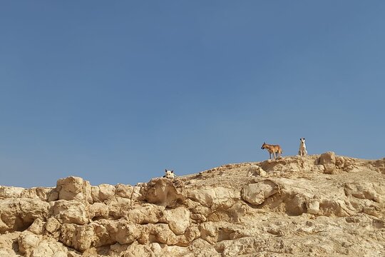 Tour image 3