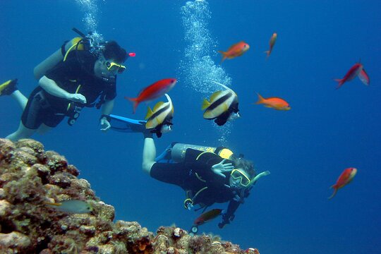 Tour image 7