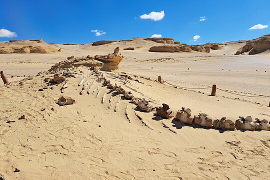 Tour image 12