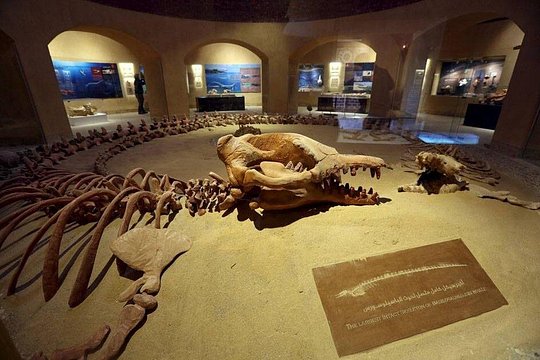 Tour image 5